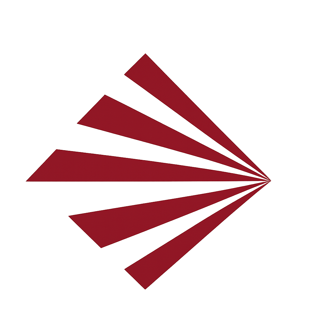 VLESS icon